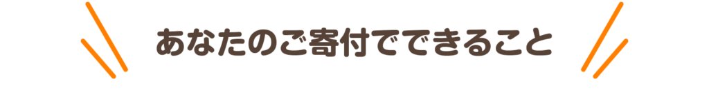 あなたのご寄付でできること